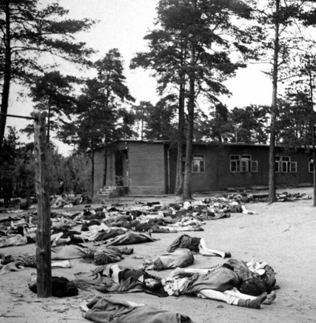 Все ужасы концлагеря Берген-Бельзен в редких архивных фотографиях
