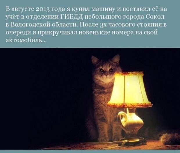 Дорожная история со счастливым концом замена, стертые номера