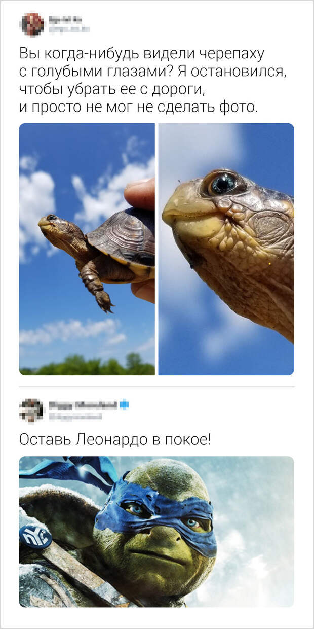 17 комменÑаÑиев из ÑеÑи, коÑоÑÑе вÑзÑваÑÑ Ð±ÐµÑконÑÑолÑнÑе пÑиÑÑÑÐ¿Ñ ÑмеÑа
