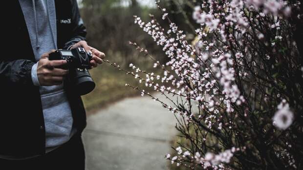photo