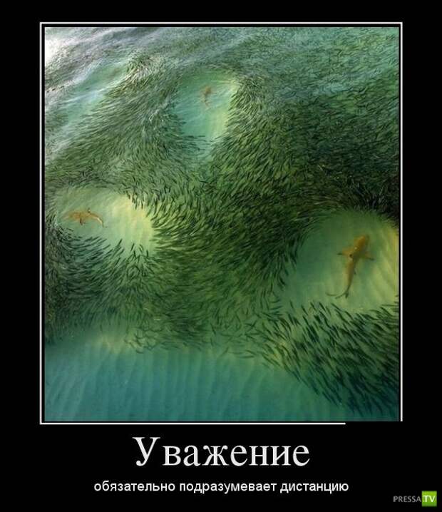 Демотиваторы на июнь, часть 11 (28 фото) Демотиваторы на июнь, часть 11 (28 фото)