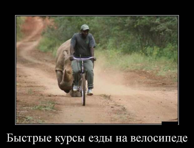 Демотиваторы демотиваторы, юмор