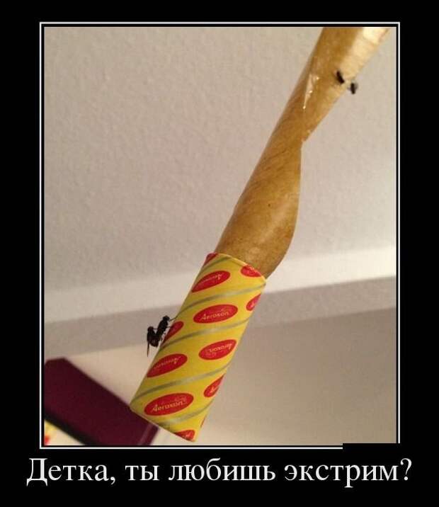 Прикольные демотиваторы Прикольные демотиваторы