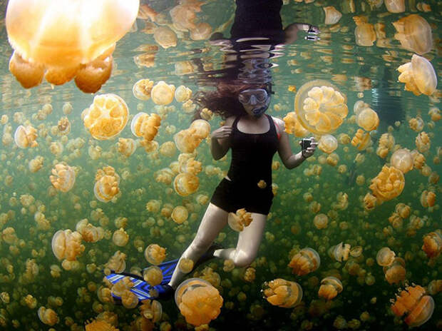 Лучшие снимки National Geographic 2015