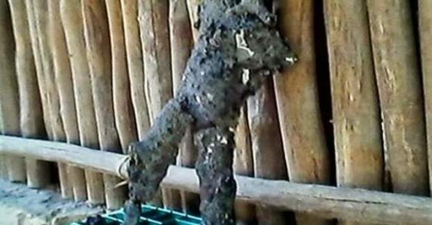 humanoid-Yucatan-585x306