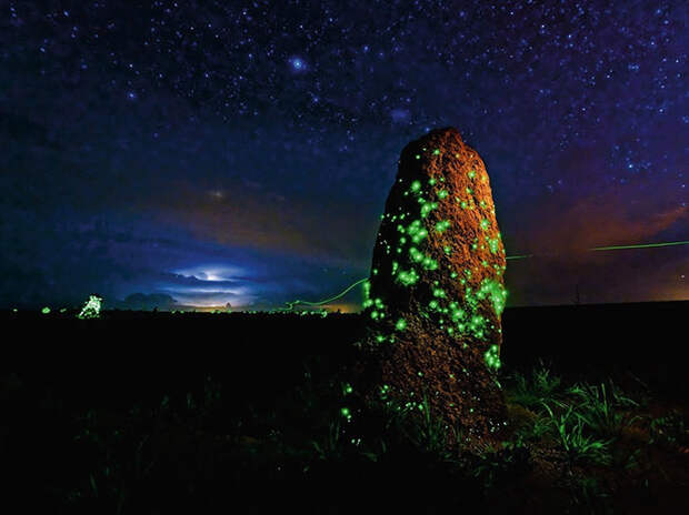 Лучшие фотографии марта от журнала National Geographic