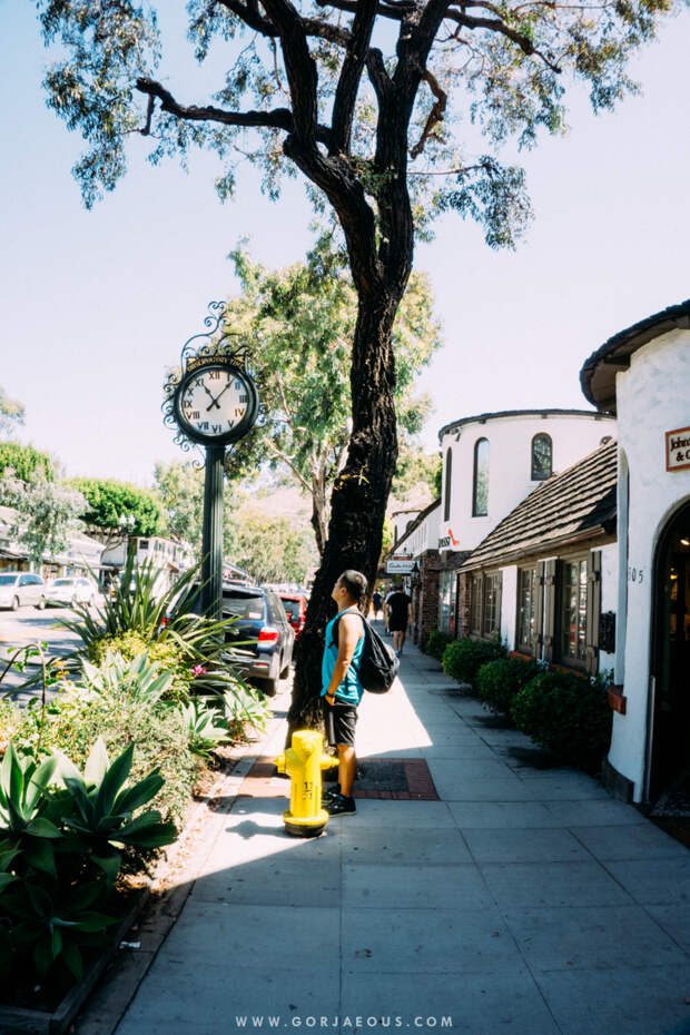 Exploring Laguna Beach-9.jpg