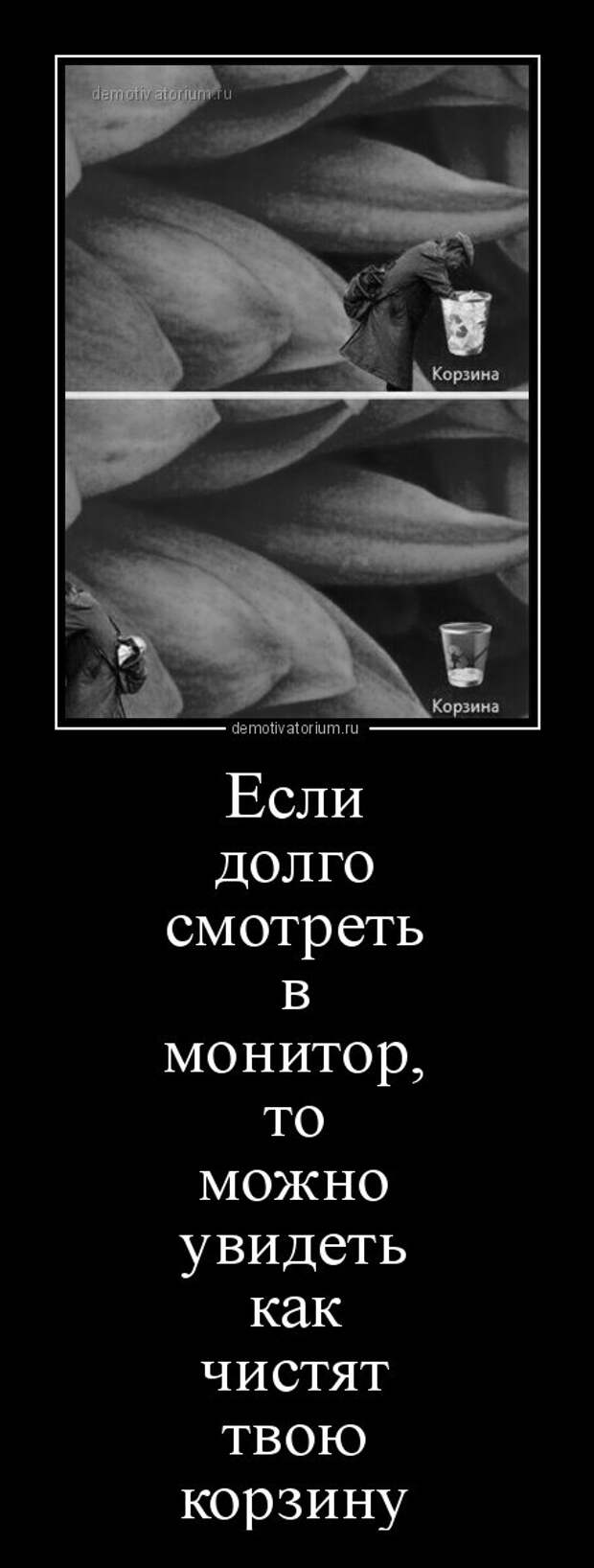 Свежий сборник демотиваторов (12 шт)