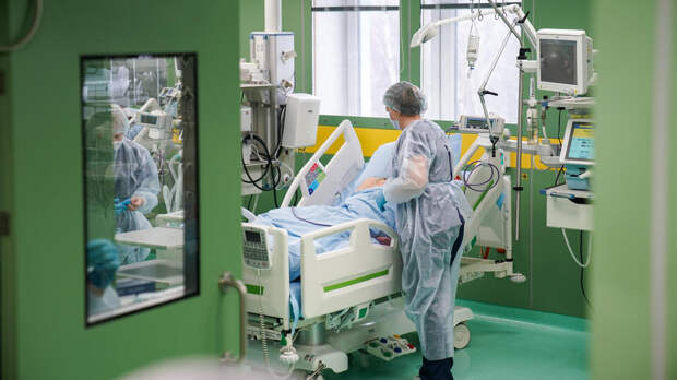 Роспотребнадзор начал проверку случаев оспы обезьян в Подмосковье