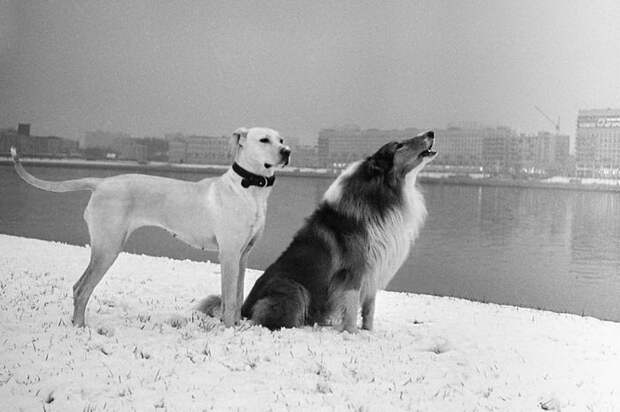 Фотографии Маши Ивашинцовой: сокровище, чудом найденное на чердаке Фотографии Маши Ивашинцовой: сокровище, чудом найденное на чердаке