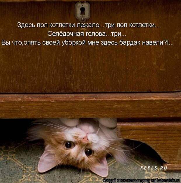 Мысли вслух :)
