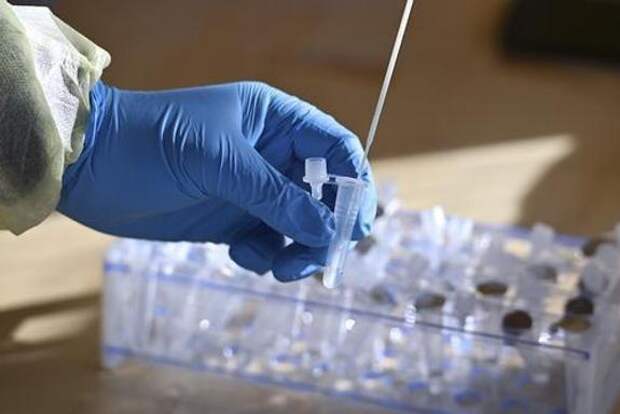 В России за сутки выявили 3 646 случаев заражения COVID-19