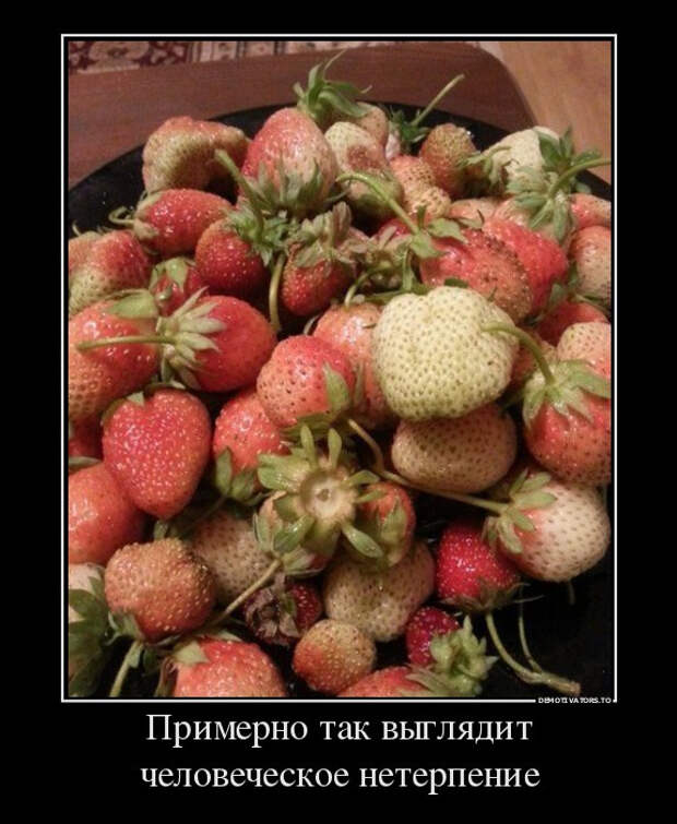 demotiv_019.jpg demotiv_019.jpg