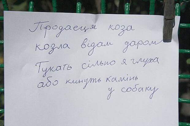 Забавные надписи и объявления Забавные надписи и объявления