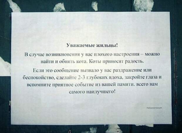 Записки от людей, которым повезло с соседями