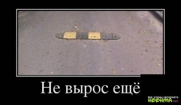 Демотиваторы - подборка 1 Демотиваторы - подборка 1