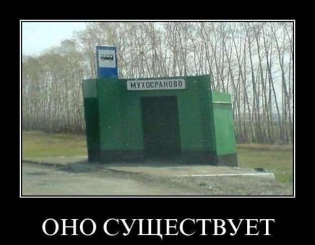 Демотиваторы новые, надписи и фото прикольные.
