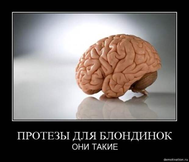 Демотиваторы, юмор и сатира, не смешных у нас не бывает.