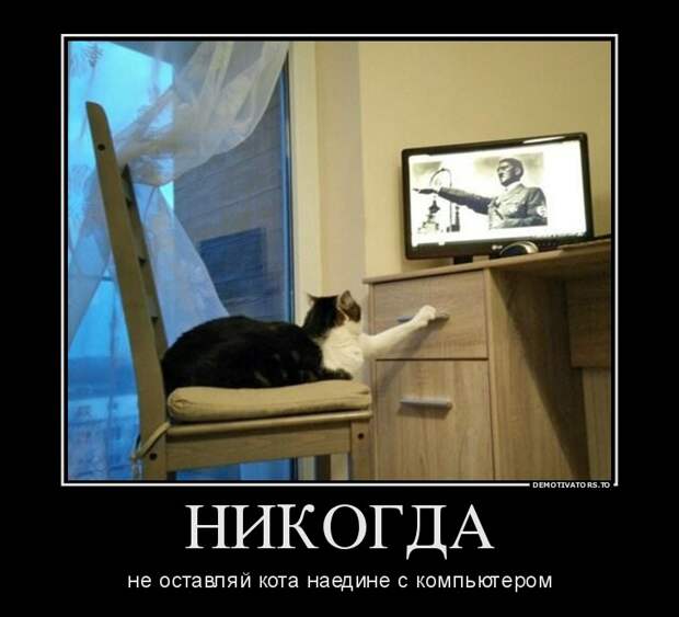 Подборка демотиваторов  демотиватор, юмор