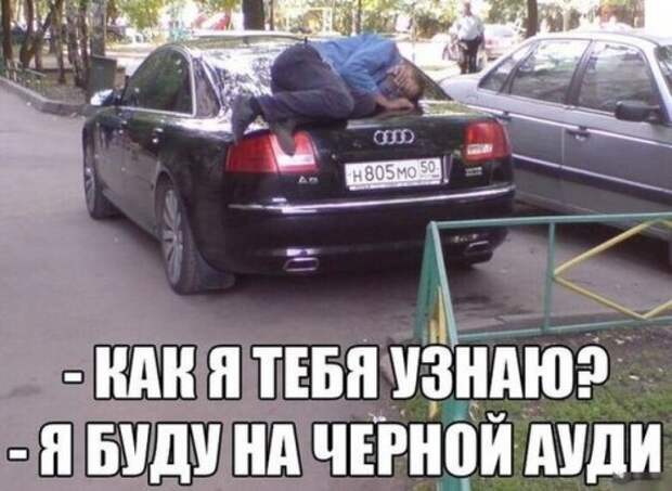 Смотрим прикольные картинки (49 шт)