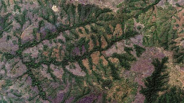 31. Центральная область, Того google earth, земля, фото