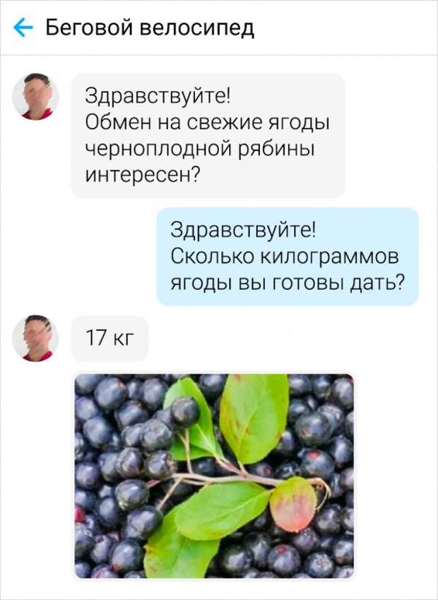 Подборка забавных отзывов