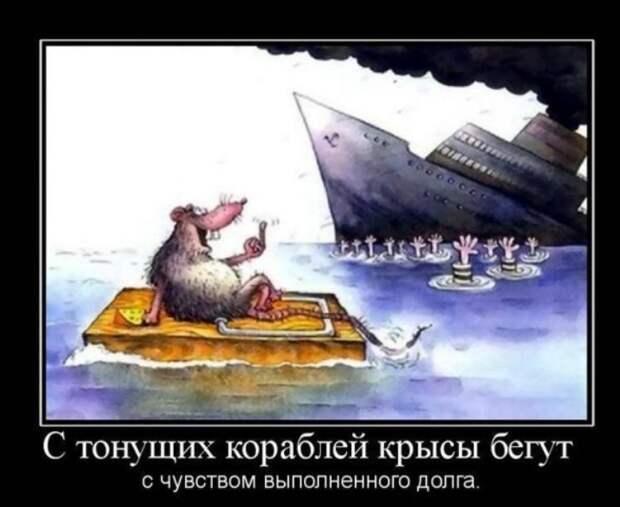 Крысы бегут с тонущего корабля. Новости Украины