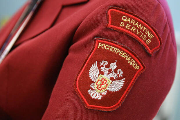 Роспотребнадзор направил запрос в Нидерланды в связи со случаями хантавируса