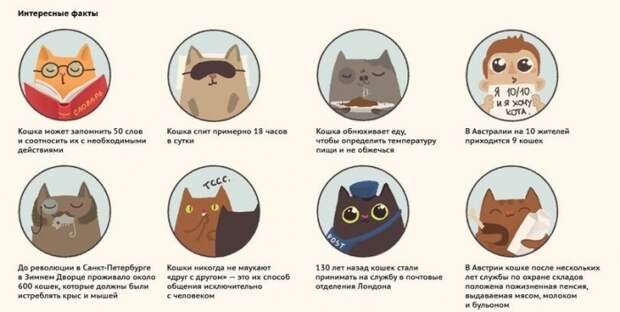 интересные факты о кошках
