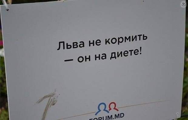 Приколы молдавского зоопарка 2