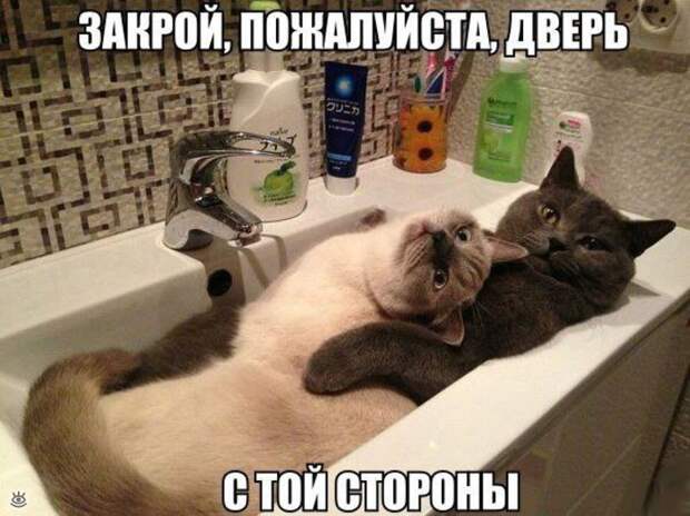 Позитив для автолюбителей 44