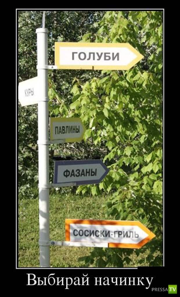 Демотиваторы на август, часть 5 (30 фото)