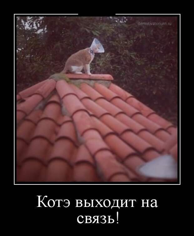 Демотиваторы (30 фото) Демотиваторы (30 фото)