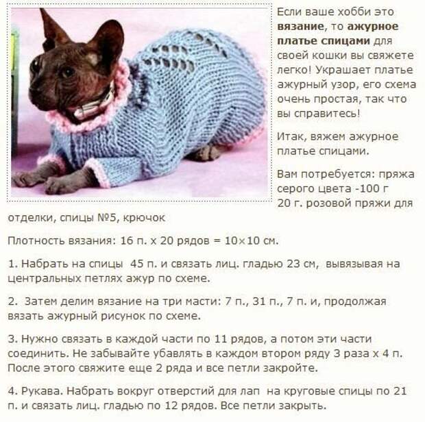 Источники fun-cats.ru и garblog 
