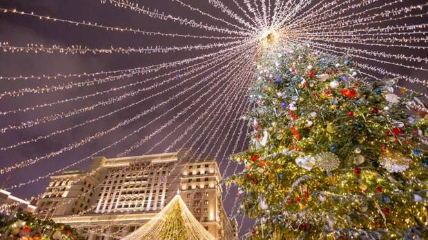 Главную новогоднюю елку России отправили на переработку