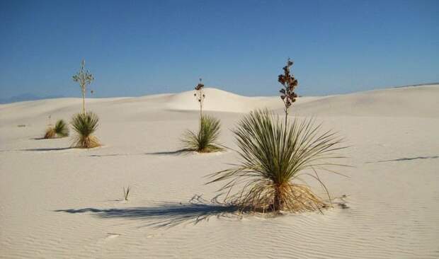 Гипсовая пустыня белого песка
