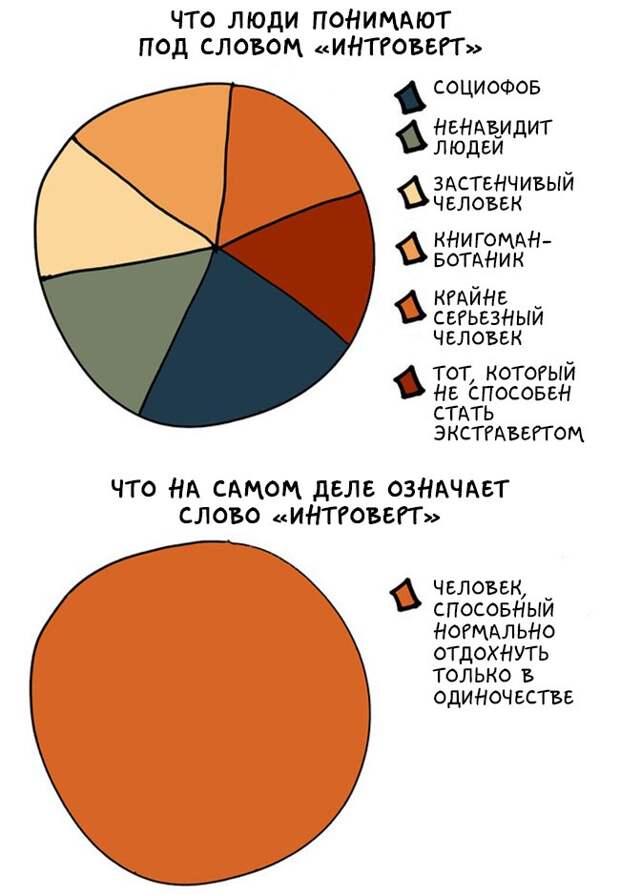 графики как понимать интровертов