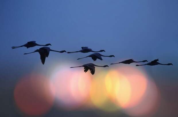 National Geographic: лучшие фотографии июня geographic, national, фотографии