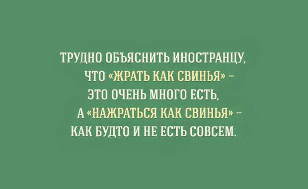 уникальные особенности русского языка (9)