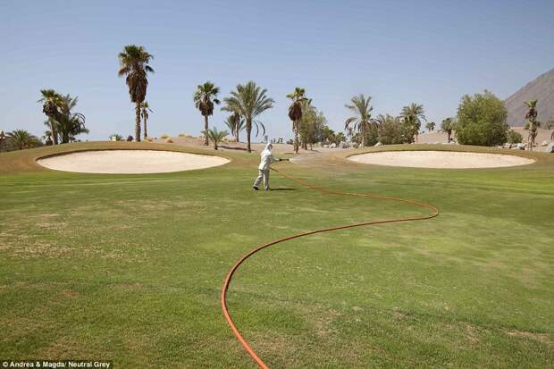 За некоторыми полями для гольфа всё ещё присматривают египет, курорты, туризм