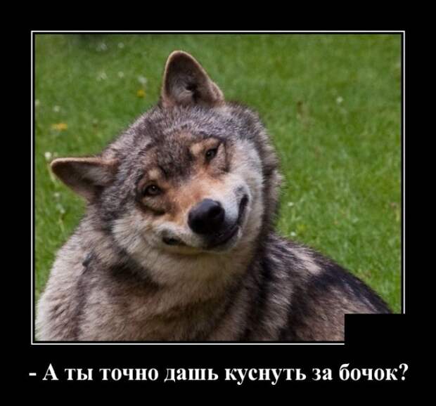 Демотиваторы (20 фото)