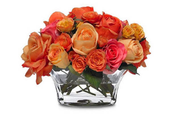 КАК ВЫРАСТИТЬ РОЗУ ИЗ СРЕЗАННОГО ЦВЕТКА?