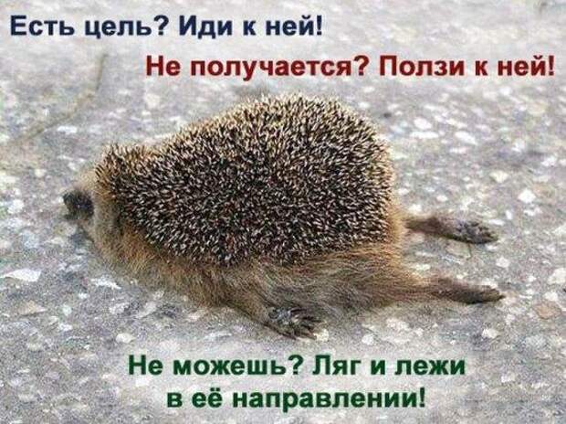 4491942_4a04c69f9cce43fe14af2fa420b6ea6d_800