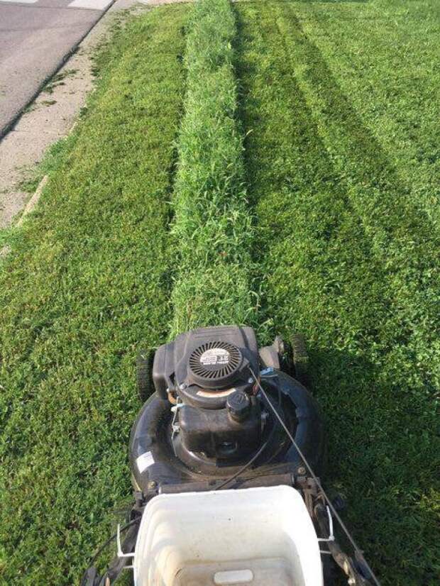 услада для глаз перфекциониста