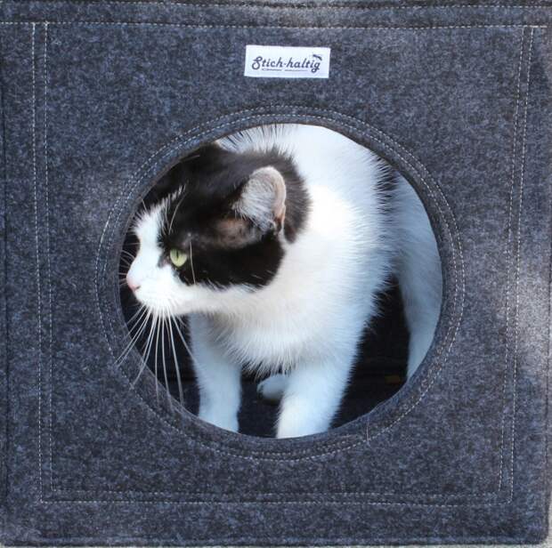Кот - экспедитор