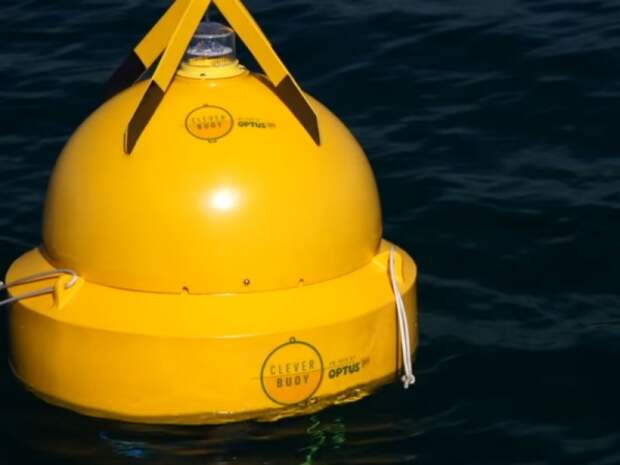 clever-buoy