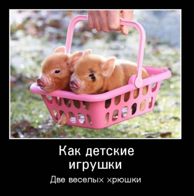 1418788779_images_603.jpg (450x453, 218Kb)