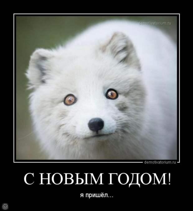 Демотиваторы на 1 января 2016 года 18