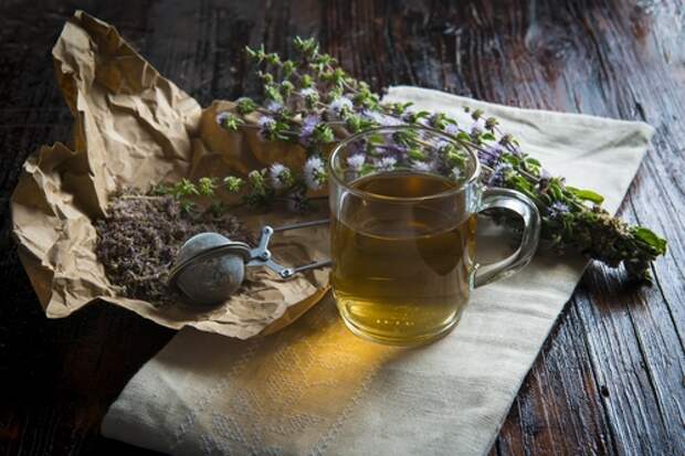 Пей и не болей: осенние травяные сборы для здоровья