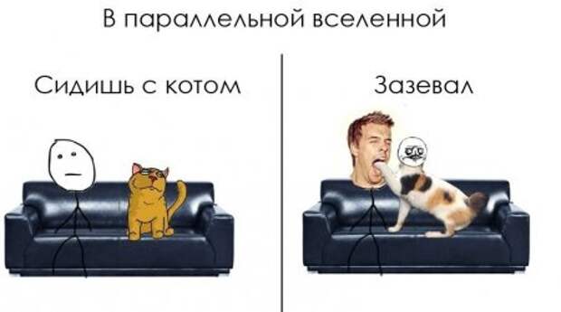 Параллельная вселенная в карикатурках